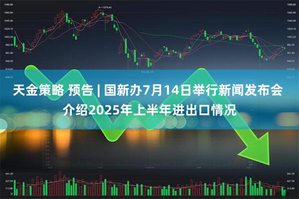 天金策略 预告 | 国新办7月14日举行新闻发布会 介绍2025年上半年进出口情况