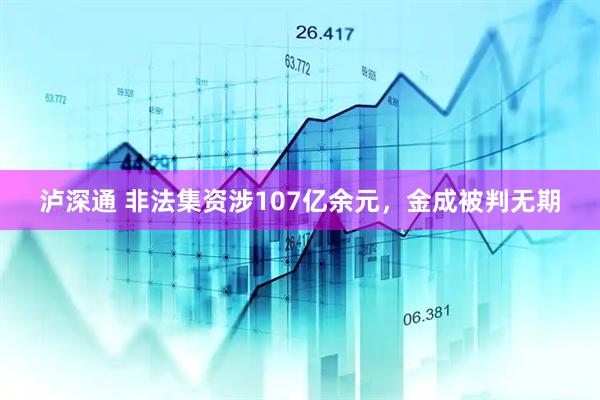 泸深通 非法集资涉107亿余元，金成被判无期