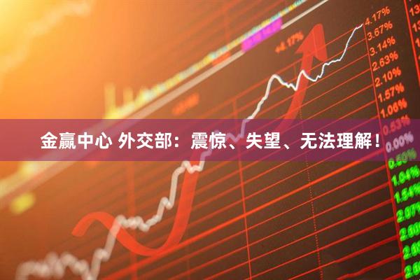 金赢中心 外交部：震惊、失望、无法理解！