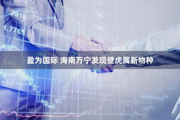 盈为国际 海南万宁发现壁虎属新物种