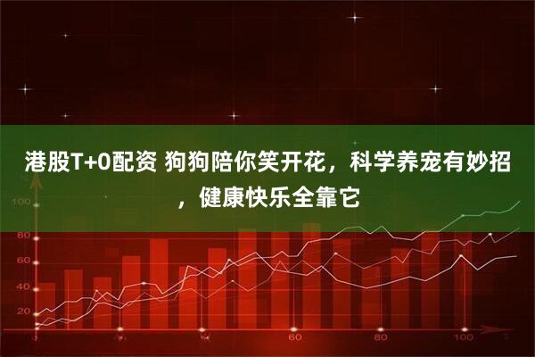 港股T+0配资 狗狗陪你笑开花，科学养宠有妙招，健康快乐全靠它