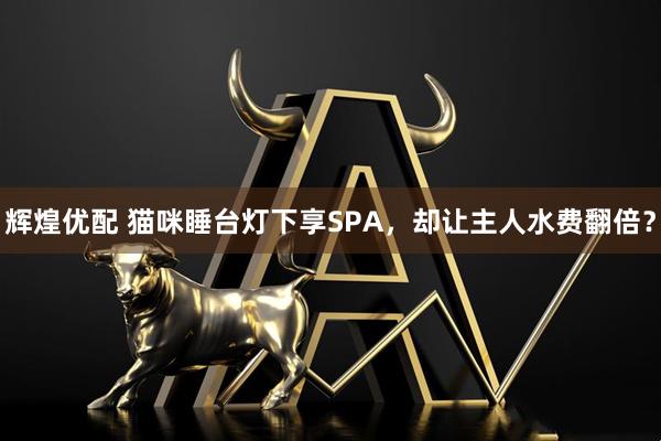 辉煌优配 猫咪睡台灯下享SPA，却让主人水费翻倍？
