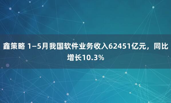 鑫策略 1—5月我国软件业务收入62451亿元，同比增长10.3%